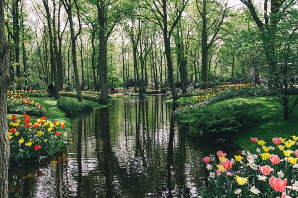 Нидерланды природа