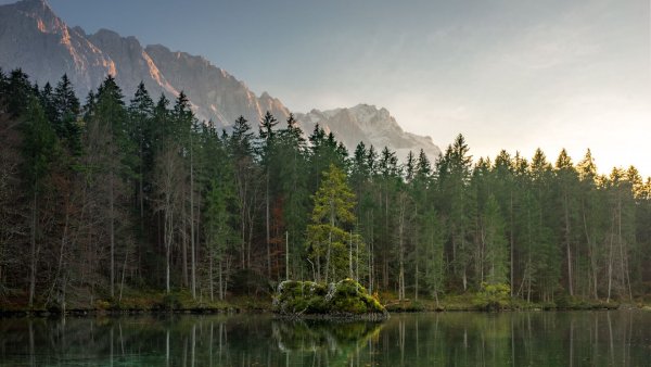 Шапка для канала природа