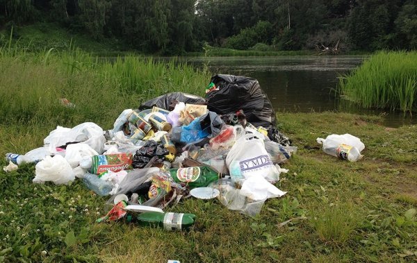 Загрязнение природы