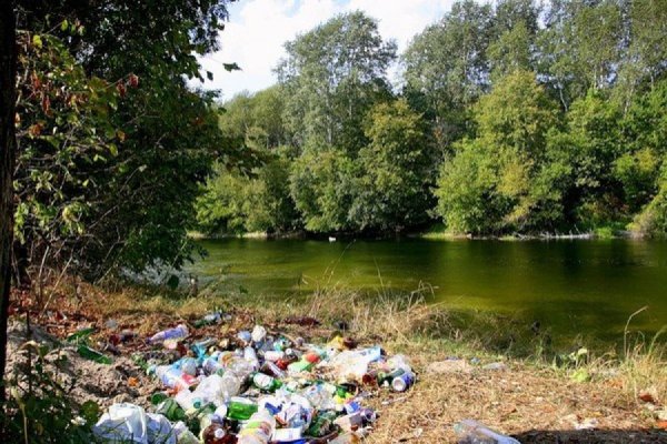 Пластиковый мусор
