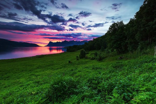 Красивая природа