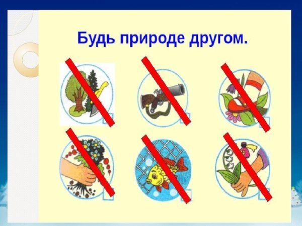 Условные знаки охраны природы