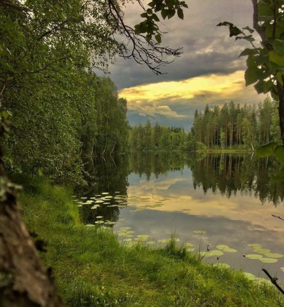 Природа тишина умиротворение