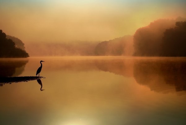 Природа закат