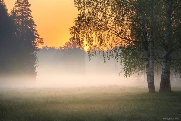 Природа умиротворение и спокойствие