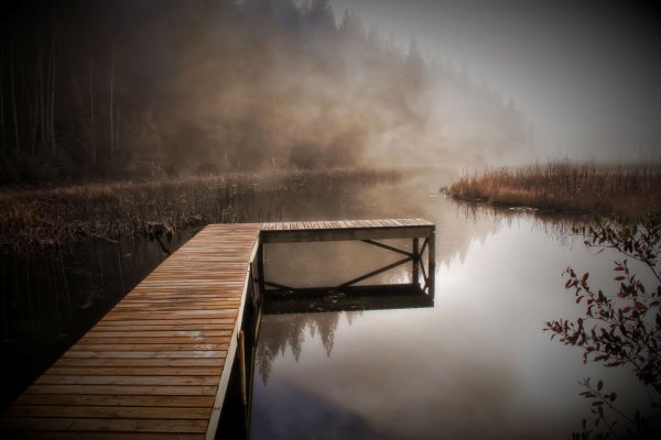 Море летним утром