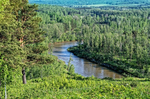 Река Бердь Салаирский Кряж