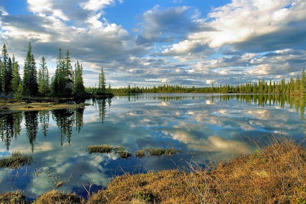 Купинский район природа