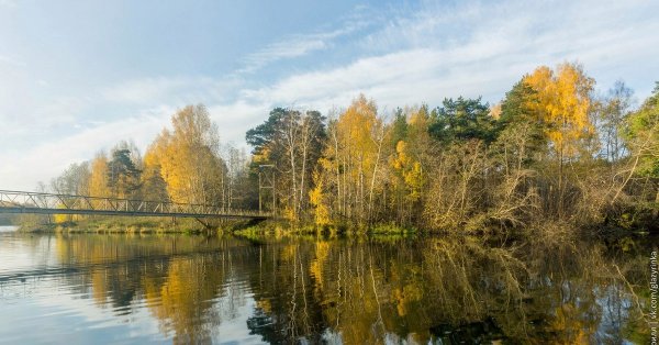 Тагил лес Нижний Тагил