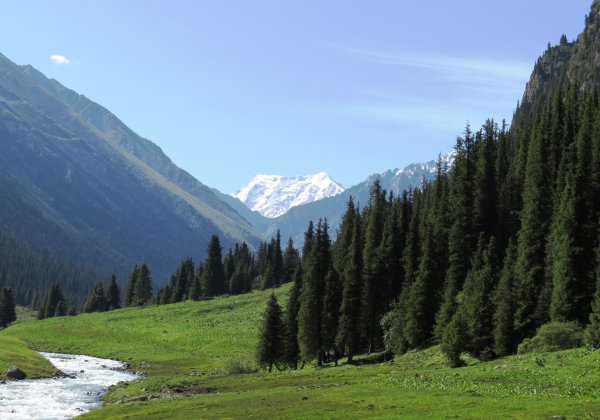 Ущелье Алтын Арашан