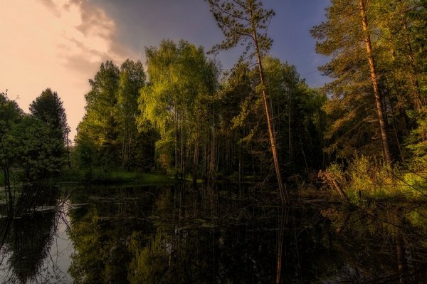 Гора медведь камень Нижний Тагил