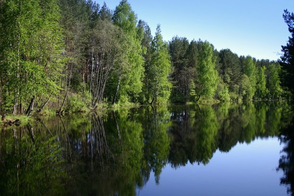 Нижний Тагил природа