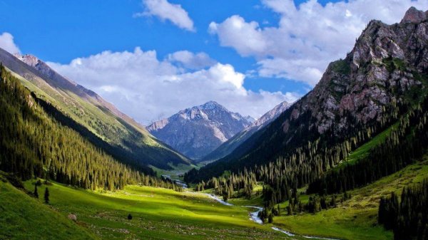 Ущелье Алтын Арашан