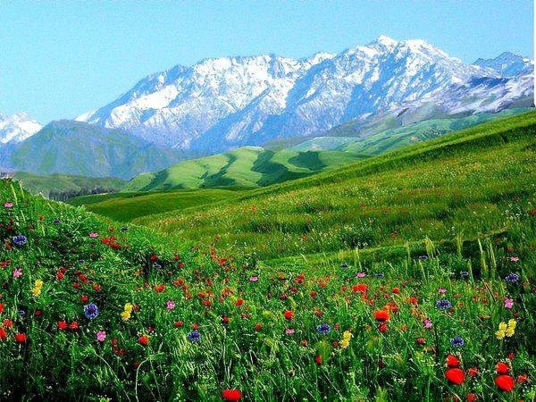 Природа горы Кыргызстана Токтогул