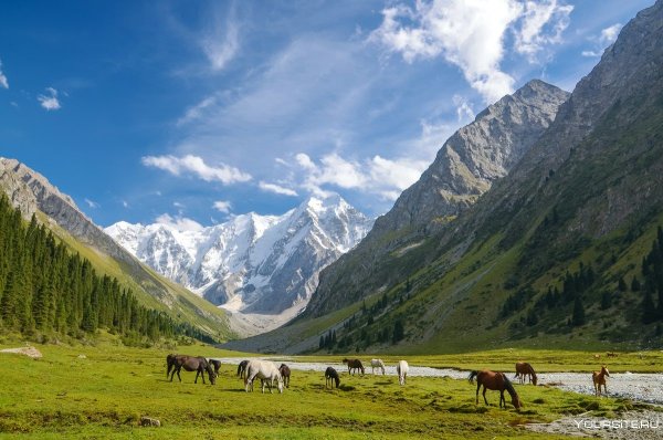 Киргизия горы Долина Арашан