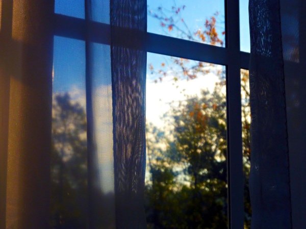 Утреннее окно