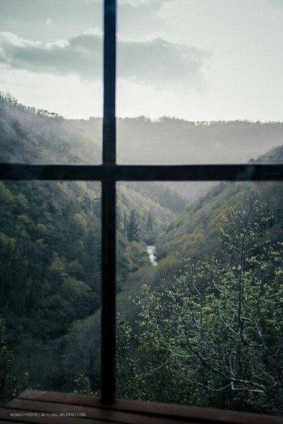Окно в лес