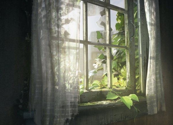 The last of us главное меню