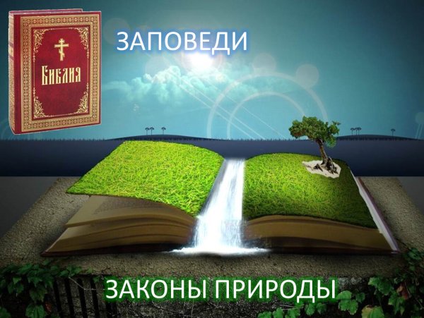 Законы природы
