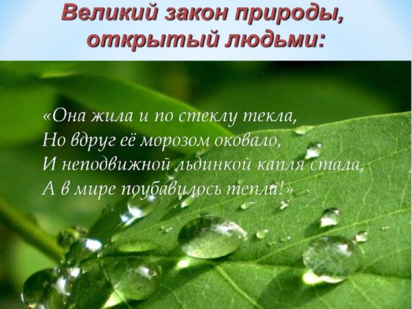 Закон на страже природы презентация