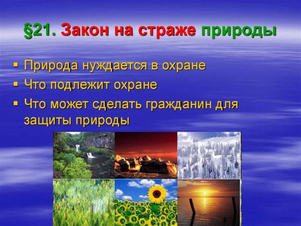 Креативная природа