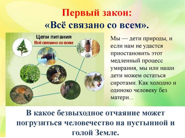 Законы природы