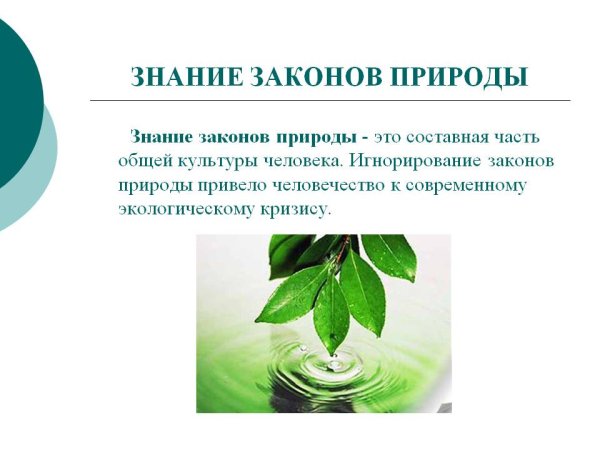 Законы природы экология