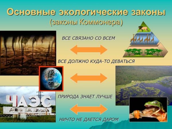 Природа знает лучше