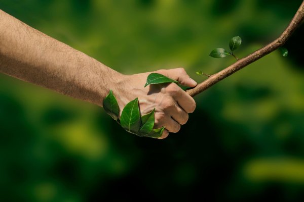Законодательство об охране природы