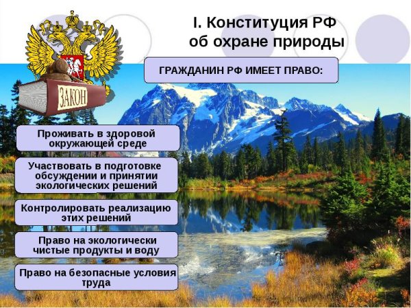 Основные экологические законы