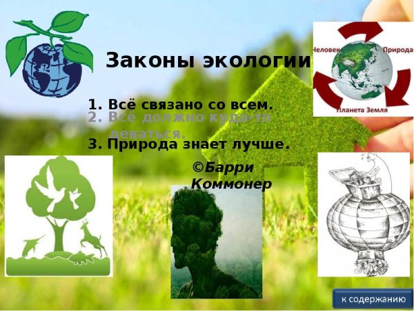 Закон сохранения энергии в природе