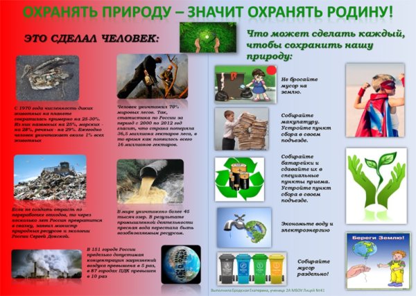 Созидание жизни