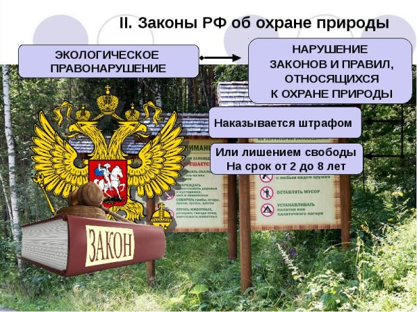 Экологические проблемы