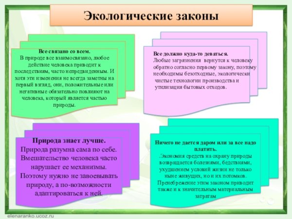 Проект по охране окружающей среды