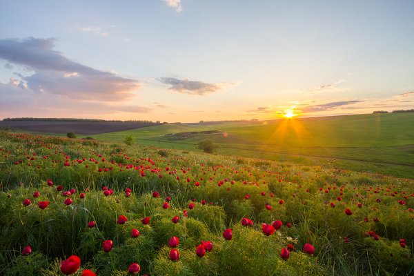 Агинская степь Забайкальский край