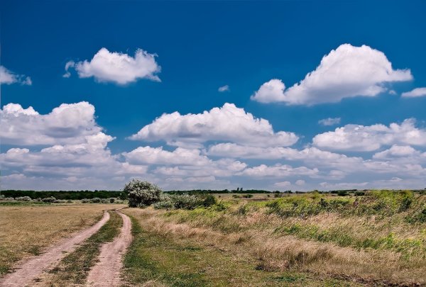 Поля Оренбуржья