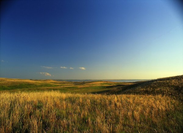 Оренбургская Ковыльная степь