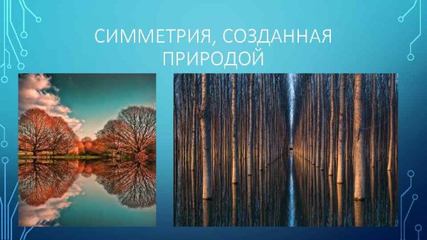 Махаон салатовый