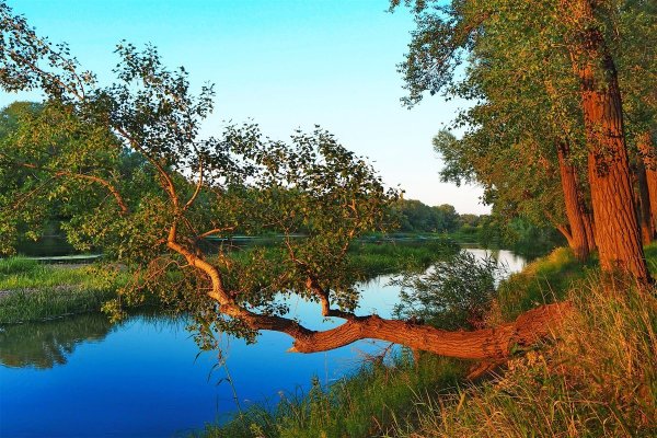 Природа Оренбурга река Урал