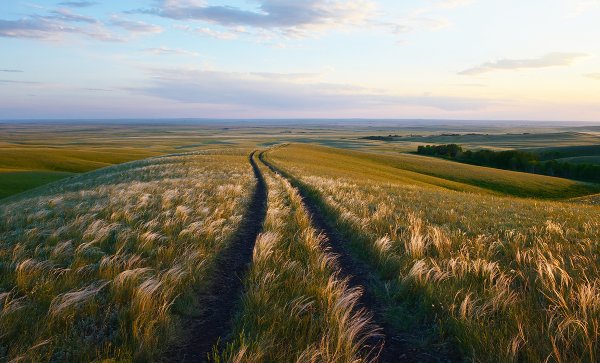 Родные просторы природа Оренбургского края