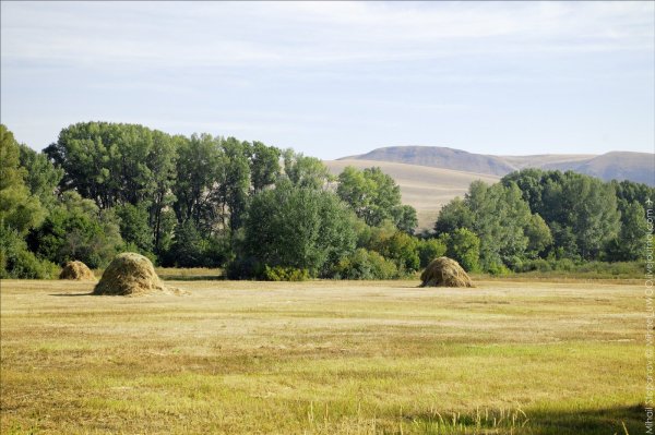 Степь Оренбургская Кувандык