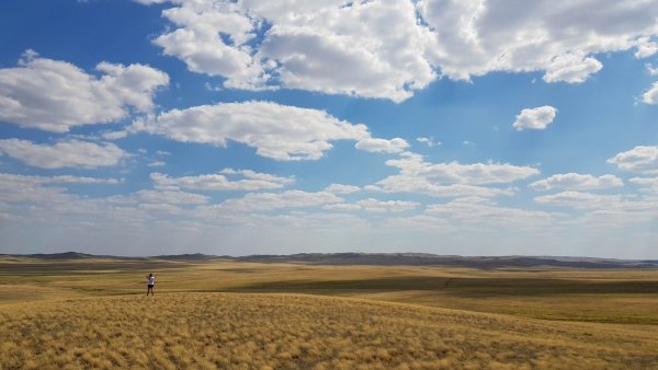Ковыльные степи Оренбургской области