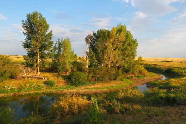 Красота природы Оренбургской области