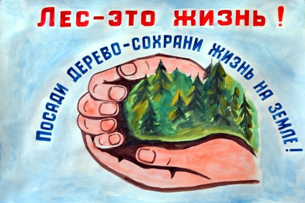 Берегите землю