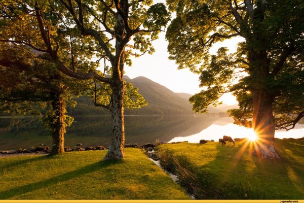 Спокойная природа