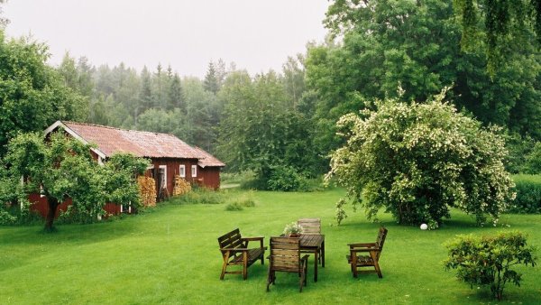 Загородная природа