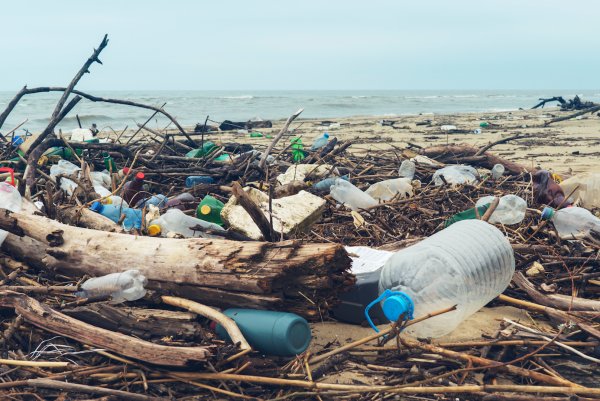 Great Pacific Garbage Patch