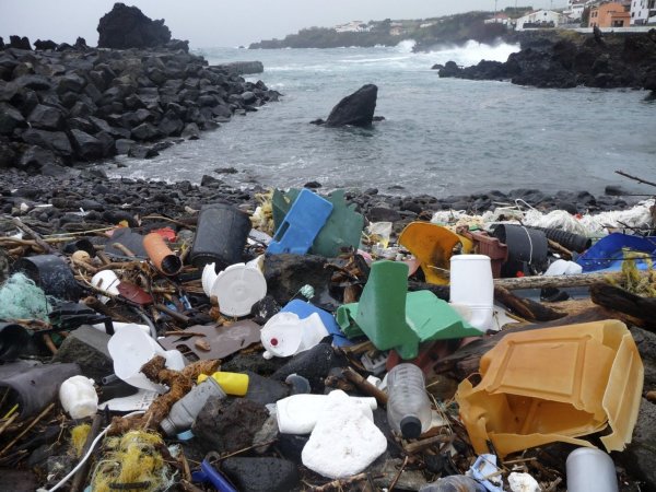 Great Pacific Garbage Patch