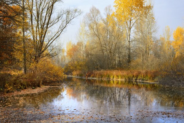 Осень октябрь природа