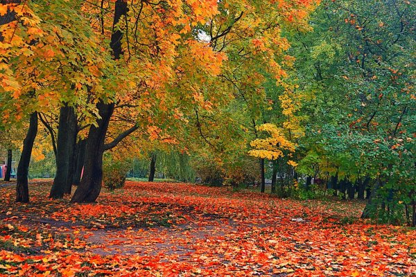 Октябрь природа